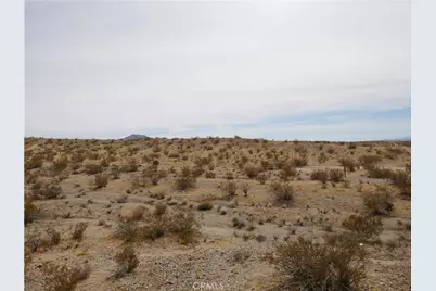 15026 Swan Lane, Oro Grande, CA 92368 - Photo 5