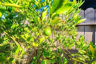 8219 Crockett Blvd, Los Angeles, CA 90001 - Photo 17