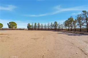 49239 80th St W, Lancaster, CA 93536 - Photo 59