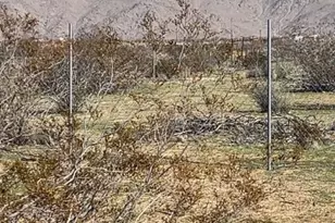 11061 Tujunga, Apple Valley, CA 92308 - Photo 3