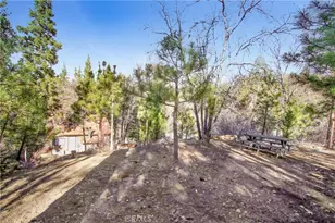 43103 Grizzly, Big Bear Lake, CA 92315 - Photo 19