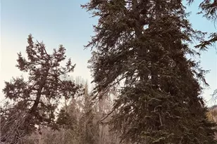 43428 Primrose, Big Bear Lake, CA 92315 - Photo 69