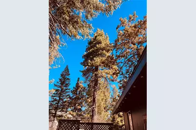 43428 Primrose, Big Bear Lake, CA 92315 - Photo 35