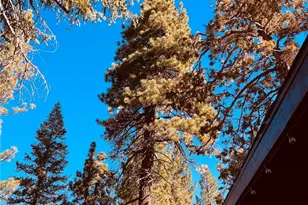 43428 Primrose, Big Bear Lake, CA 92315 - Photo 35