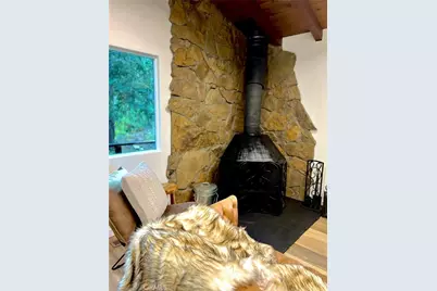 43428 Primrose, Big Bear Lake, CA 92315 - Photo 9