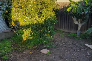 1934 Vineyard, Los Angeles, CA 90016 - Photo 29