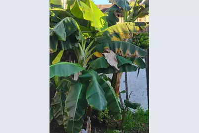 1934 Vineyard, Los Angeles, CA 90016 - Photo 31