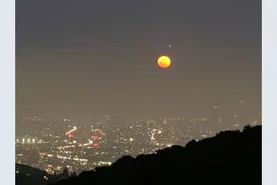8656 Skyline, Los Angeles, CA 90046 - Photo 35