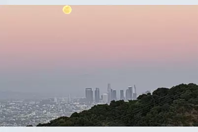 8656 Skyline, Los Angeles, CA 90046 - Photo 37
