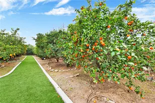 6986 Church Ave, Highland, CA 92346 - Photo 51