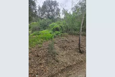 16872 Sumach, Chino Hills, CA 91709 - Photo 1