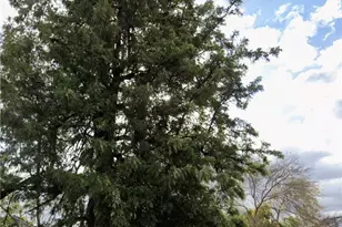 20931 Malaga, Lake Elsinore, CA 92530 - Photo 3