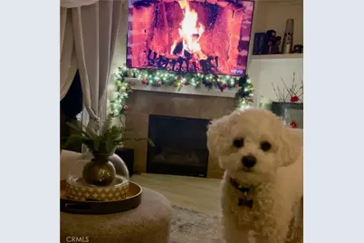 8692 9th #29, Rancho Cucamonga, CA 91730 - Photo 1