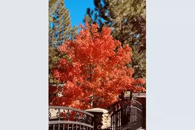 5319 Desert View, Wrightwood, CA 92397 - Photo 57