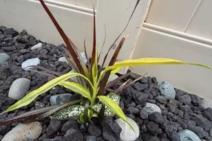 7664 Steamboat St, Riverside, CA 92507 - Photo 27