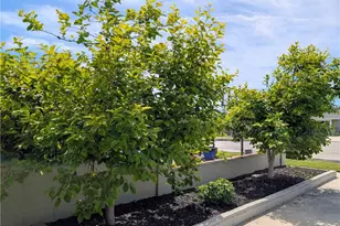 8002 San Leon Cir, Buena Park, CA 90620 - Photo 9