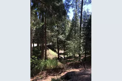 26396 State Highway 189, Twin Peaks, CA 92391 - Photo 5