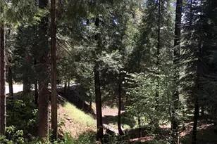 26396 State Hwy 189, Twin Peaks, CA 92391 - Photo 5