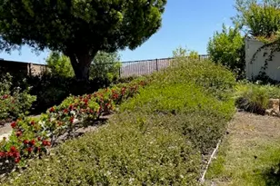 23044 Canyon Hills Dr, Corona, CA 92883 - Photo 23
