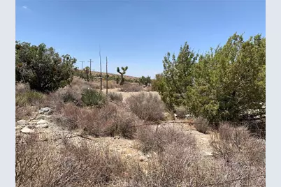 0 Vic Ave Z4 234 Ste, Llano, CA 93544 - Photo 7