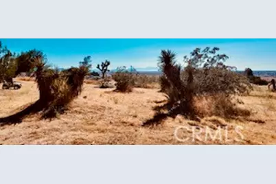 7676 Juniper, Apple Valley, CA 92308 - Photo 11