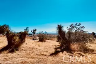 7676 Juniper, Apple Valley, CA 92308 - Photo 11