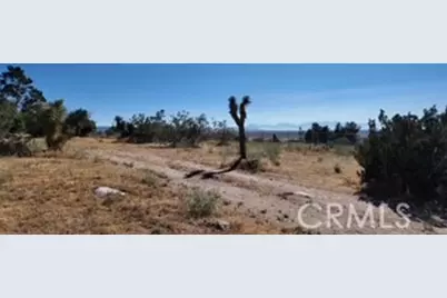 7676 Juniper, Apple Valley, CA 92308 - Photo 13
