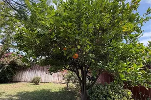 1594 Darby, Pomona, CA 91767 - Photo 31