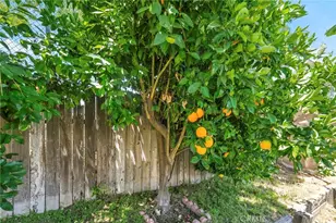 6152 Grant St, Chino, CA 91710 - Photo 45