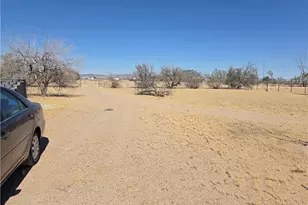 39070 Yucca, Newberry Springs, CA 92398 - Photo 9