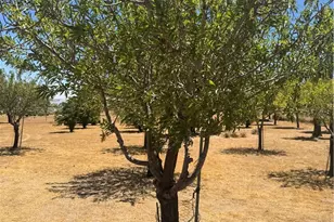 9379 Middleton Rd, Phelan, CA 92371 - Photo 7