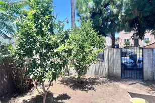 314 W 66th, Los Angeles, CA 90003 - Photo 3