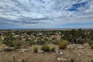 31611 157th, Llano, CA 93544 - Photo 51