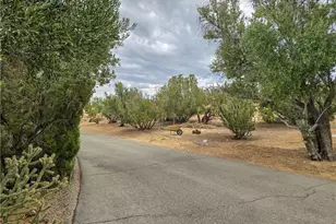 31611 157th, Llano, CA 93544 - Photo 69