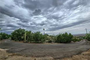 31611 157th, Llano, CA 93544 - Photo 67