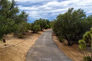 31611 157th, Llano, CA 93544 - Photo 71