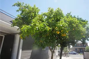 737 E 47th St, Los Angeles, CA 90011 - Photo 45