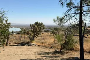 278 Yucca, Pinon Hills, CA 92372 - Photo 33