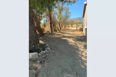 278 Yucca, Pinon Hills, CA 92372 - Photo 31
