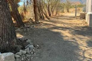 278 Yucca, Pinon Hills, CA 92372 - Photo 31