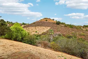 30181 Via Maria Elena, Bonsall, CA 92003 - Photo 51