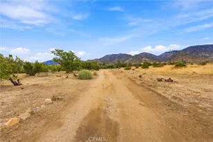 29310 Devils Punch Bowl, Juniper Hills, CA 93553 - Photo 19