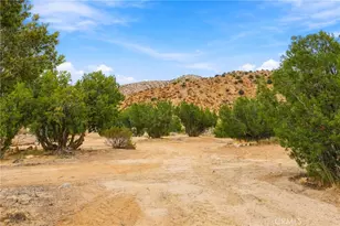 29310 Devils Punch Bowl, Juniper Hills, CA 93553 - Photo 15