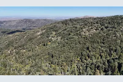 0 Strawberry Ln, Twin Peaks, CA 92391 - Photo 3