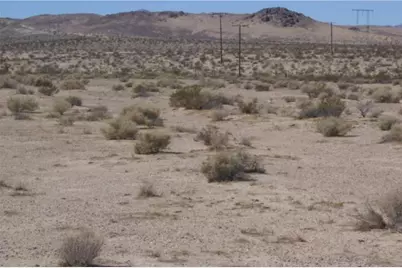 0 Mannix, Newberry Springs, CA 92365 - Photo 1