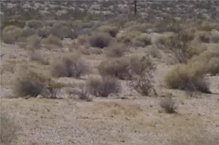 46016 Manix Rd, Newberry Springs, CA 92365 - Photo 5