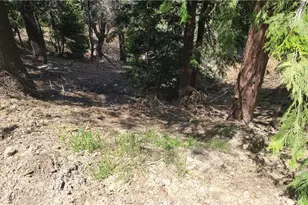 29186 Arrowhead Dr, Cedar Glen, CA 92321 - Photo 1