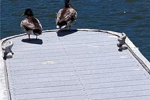 400 Pine Knot Blvd, Big Bear Lake, CA 92315 - Photo 15