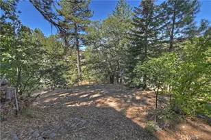 33026 Donner Ln, Arrowbear, CA 92382 - Photo 21