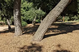 0 San Francisquito Canyon Rd, Green Valley, CA 91350 - Photo 1